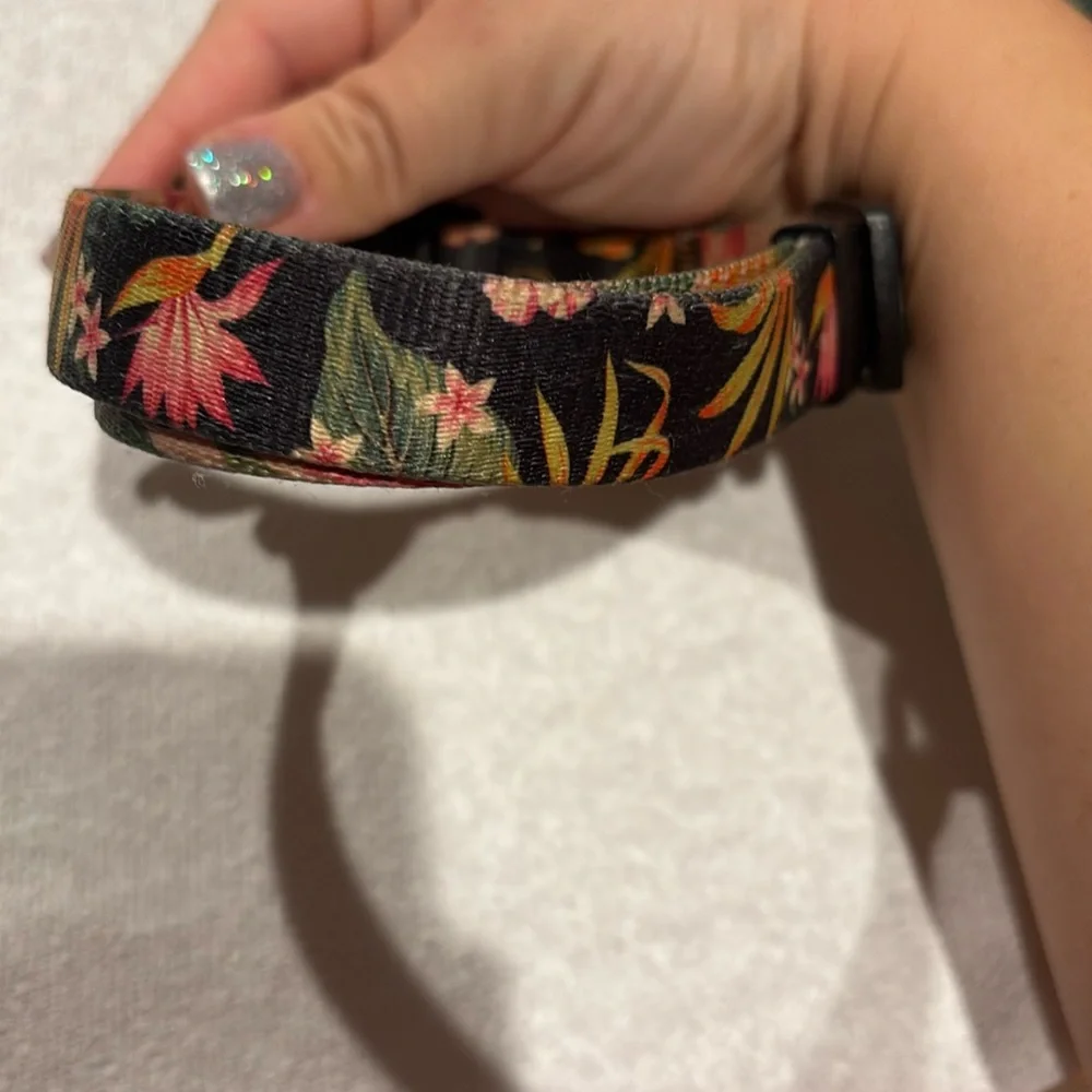 Medium - Large Halloween Dog or cat collar